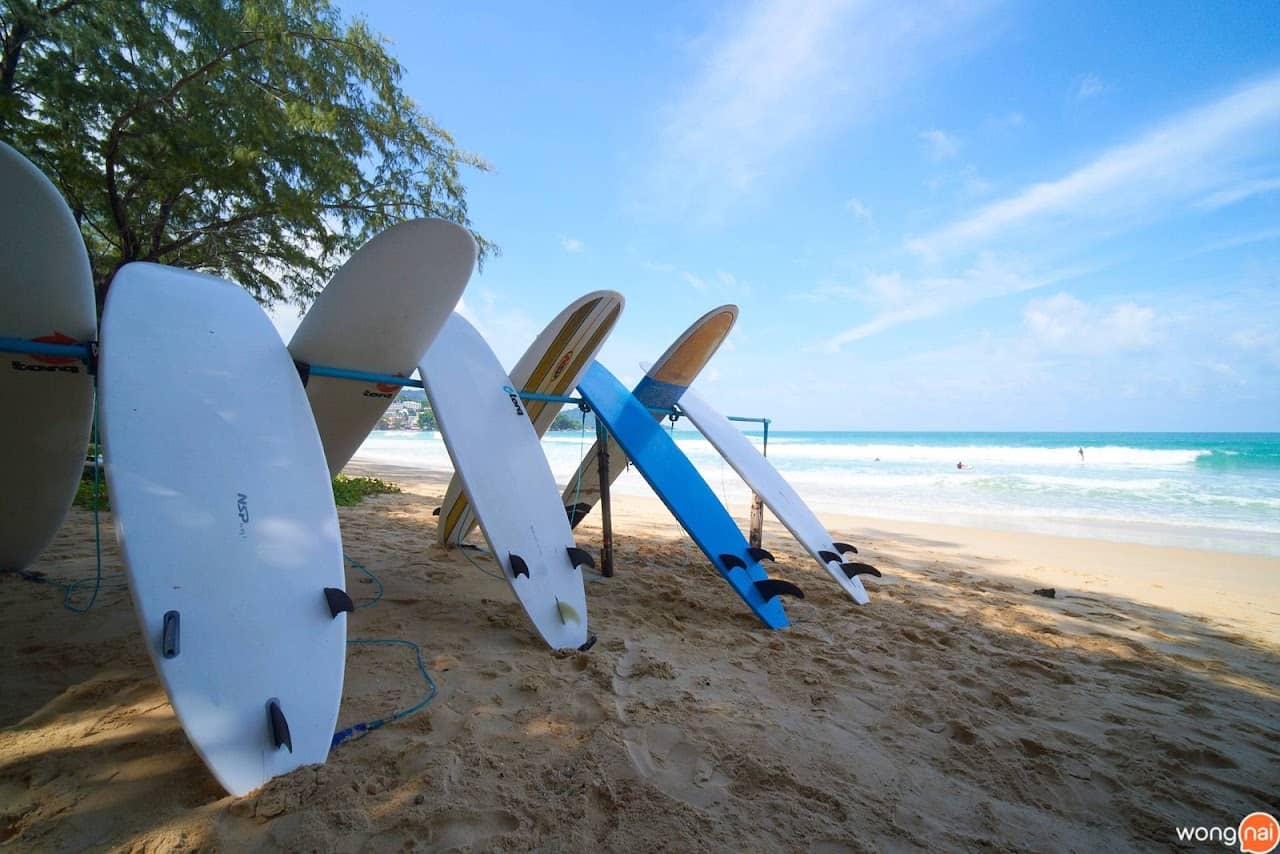 Surf School Surf Season