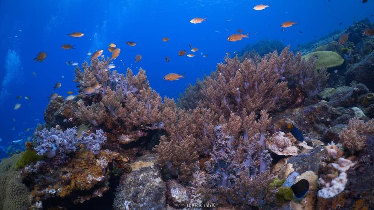 Scubadeep Phuket