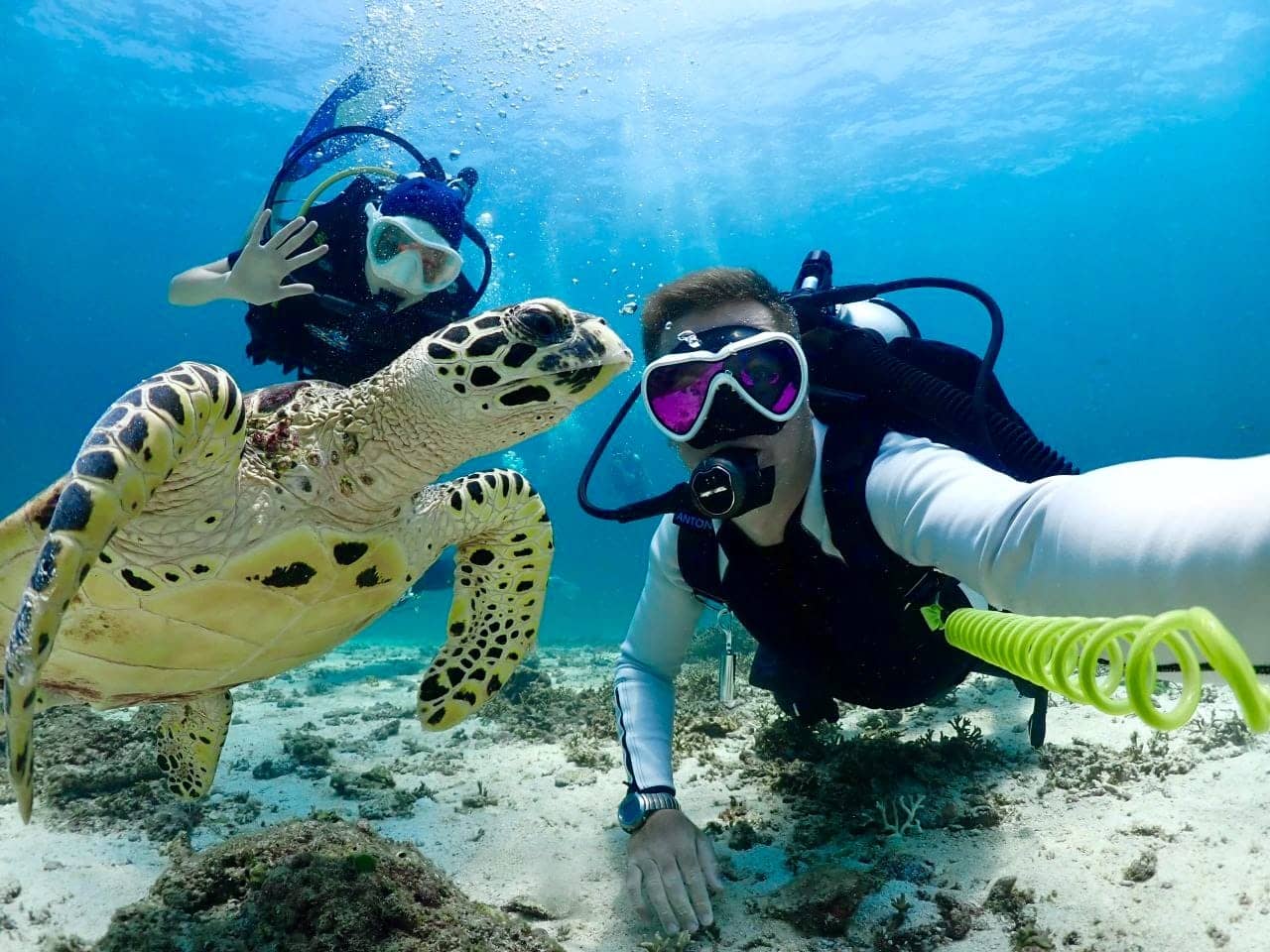 Diving Center in Phuket Дайвинг центр на Пхукете «Crazy Frog Diving»