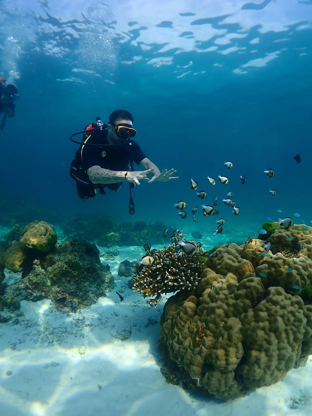 Manta Dive Phuket