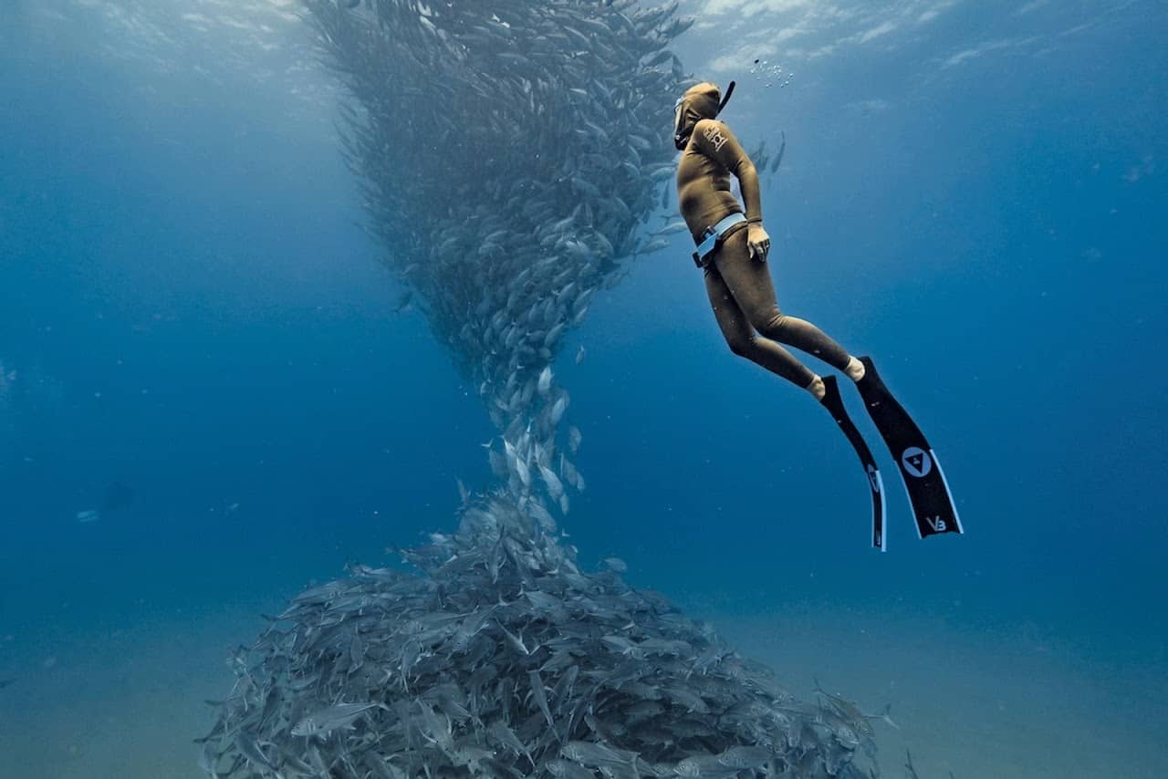 Cortex Freediving Phuket