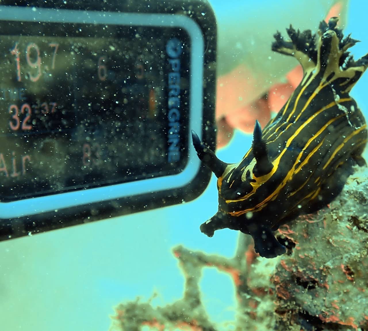 Phuket Scuba Club by BB Marine