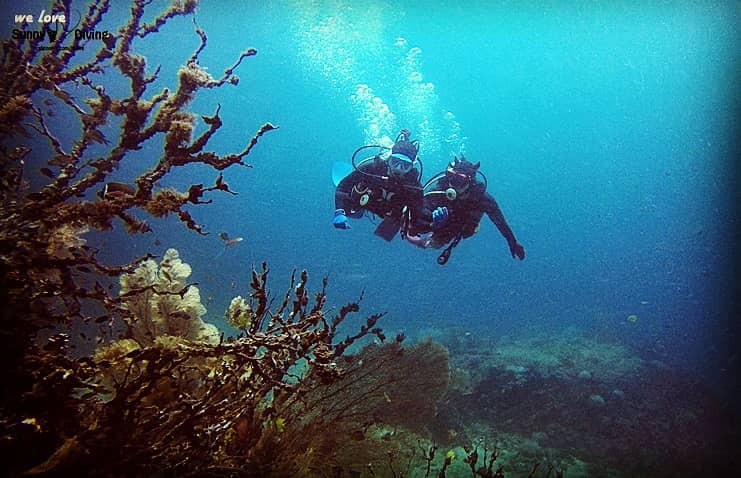 푸켓다이빙센터 | Phuket Diving Center