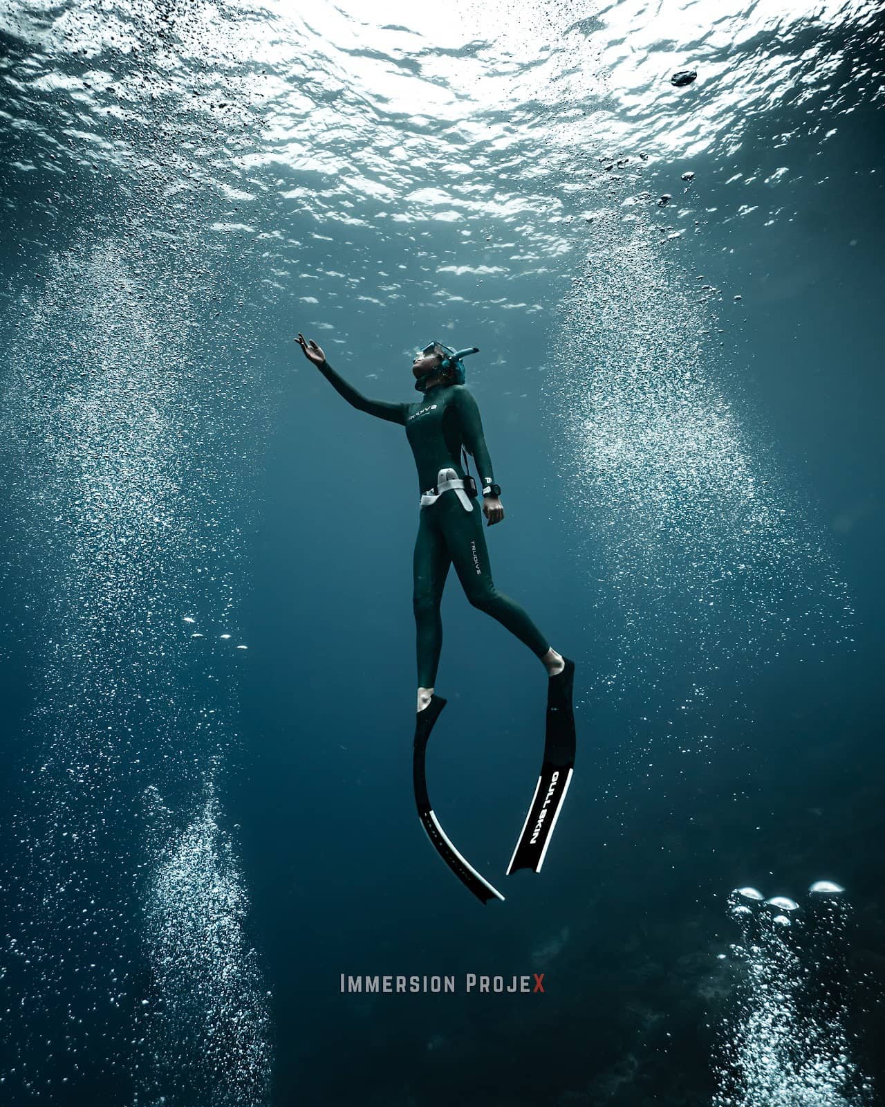 THE DIVE JOURNEY at PSU