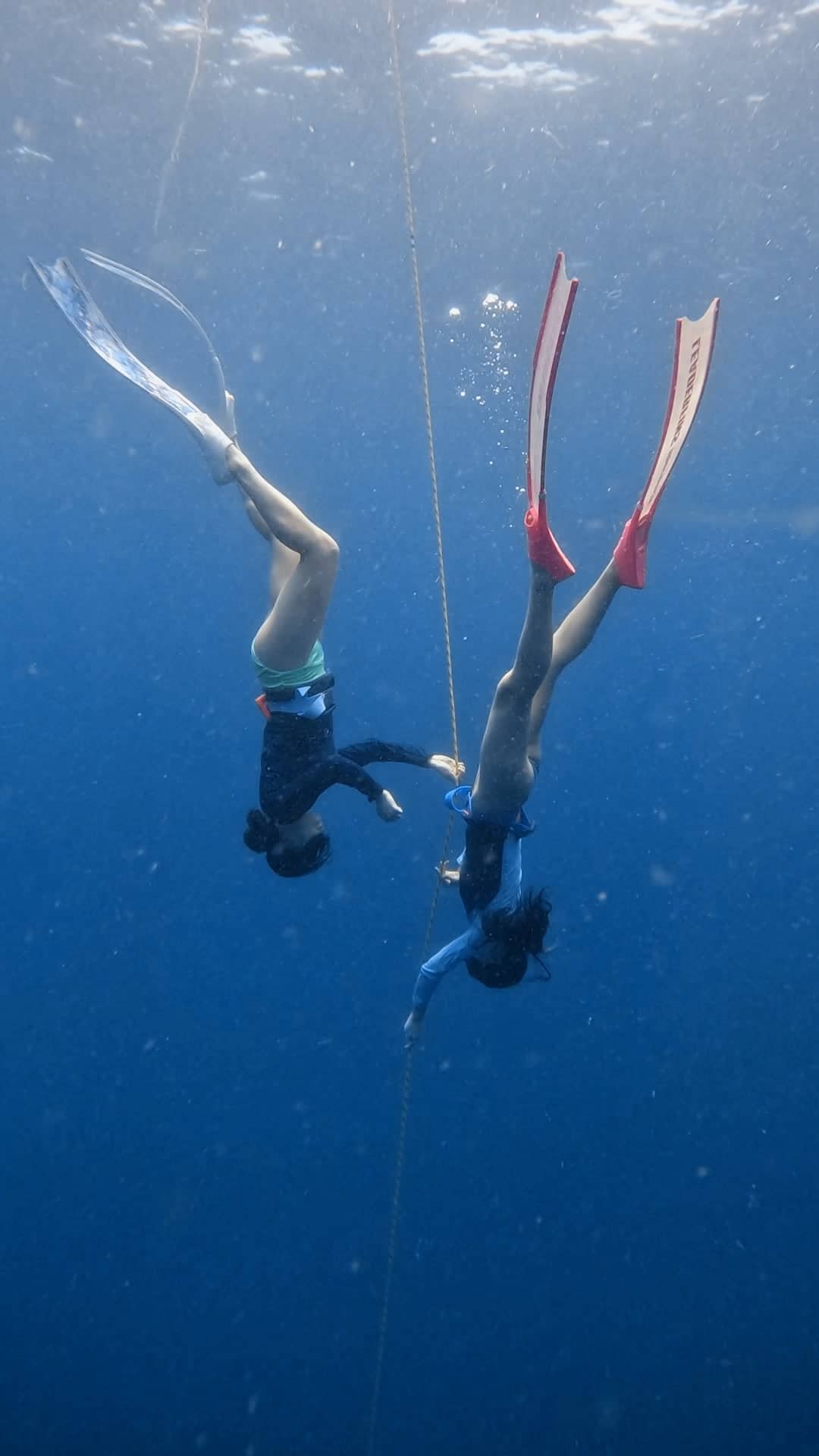 Apnea Life Freediving - Spearfishing
