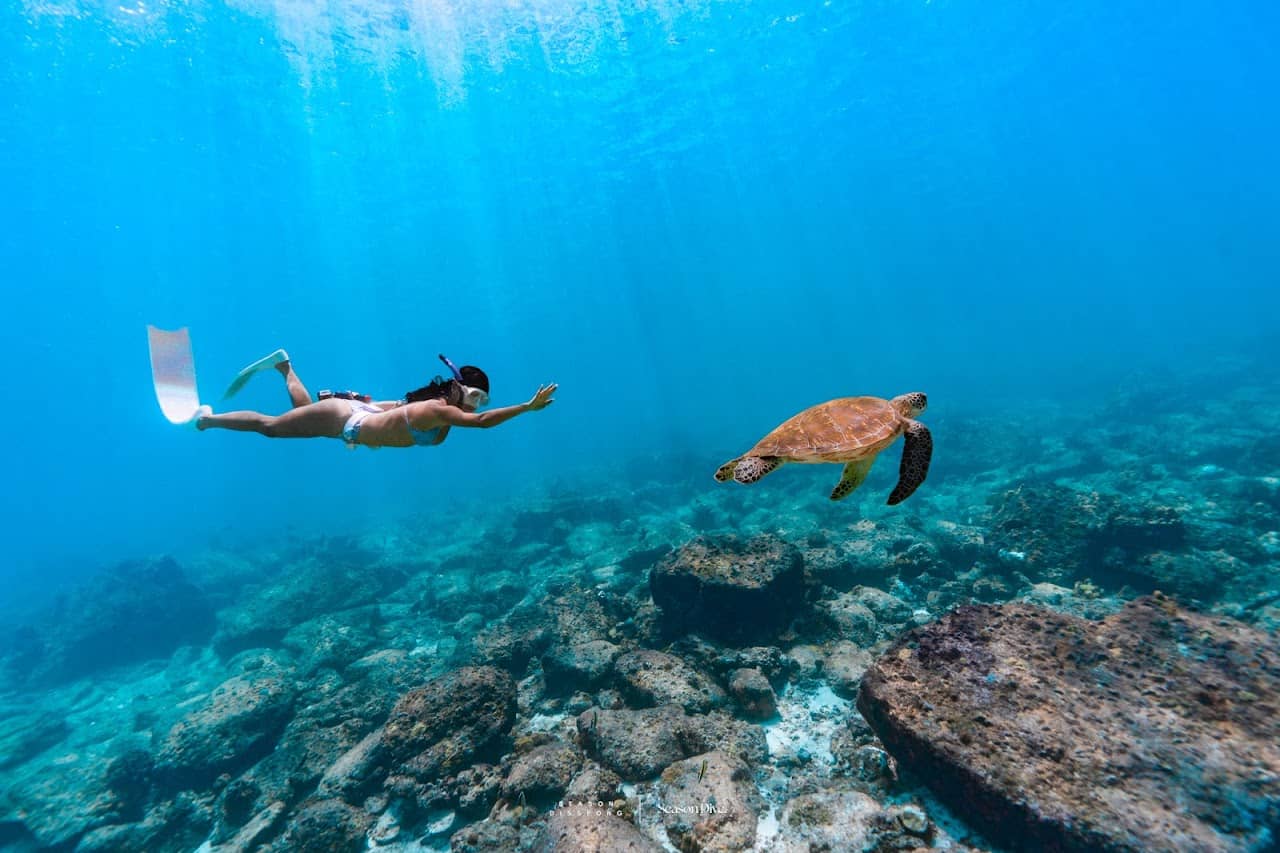 Season Dive - Freediving , Snorkeling , Diving in Phuket