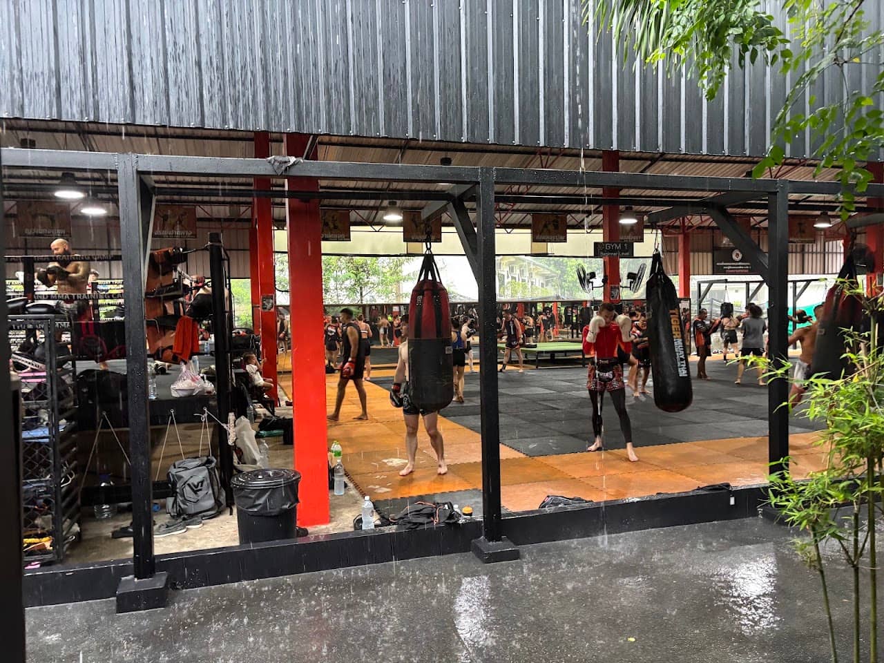 Tiger gym