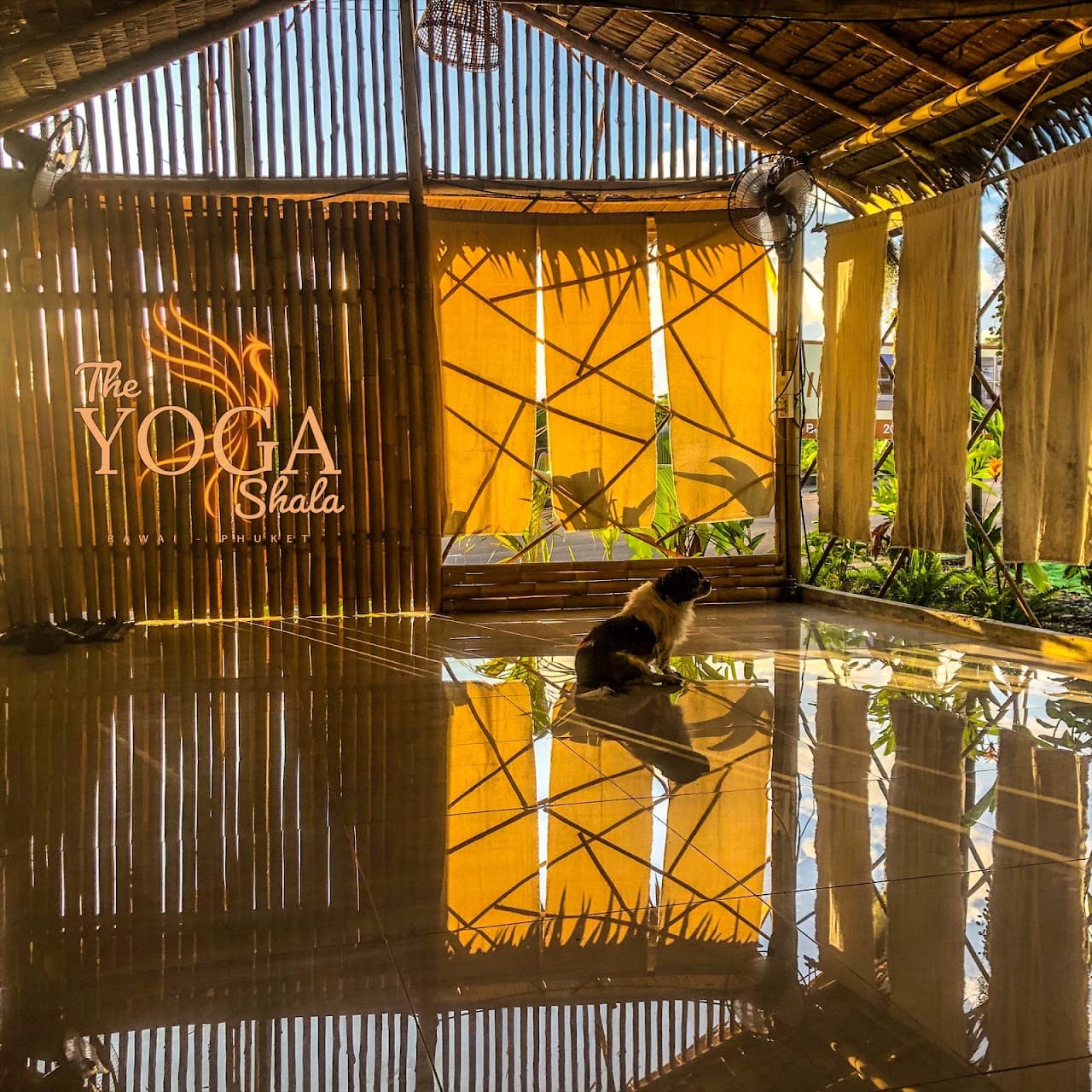 The Yoga Shala Rawai (TAYSP) — фото 2