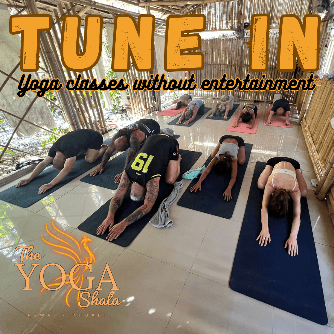 The Yoga Shala Rawai (TAYSP) — фото 4
