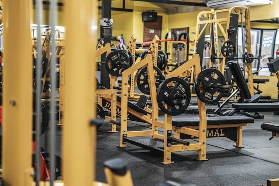 Primal Fitness
